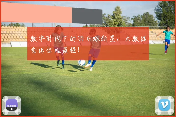数字时代下的羽毛球新星，大数据告诉你谁最强！