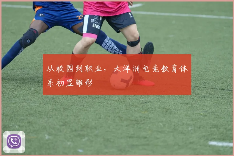 从校园到职业，大洋洲电竞教育体系初显雏形