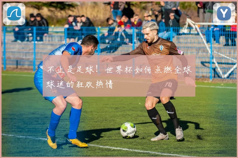 不止是足球！世界杯如何点燃全球球迷的狂欢热情